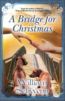 A Bridge for Christmas
