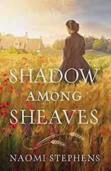 Shadow Among Sheaves